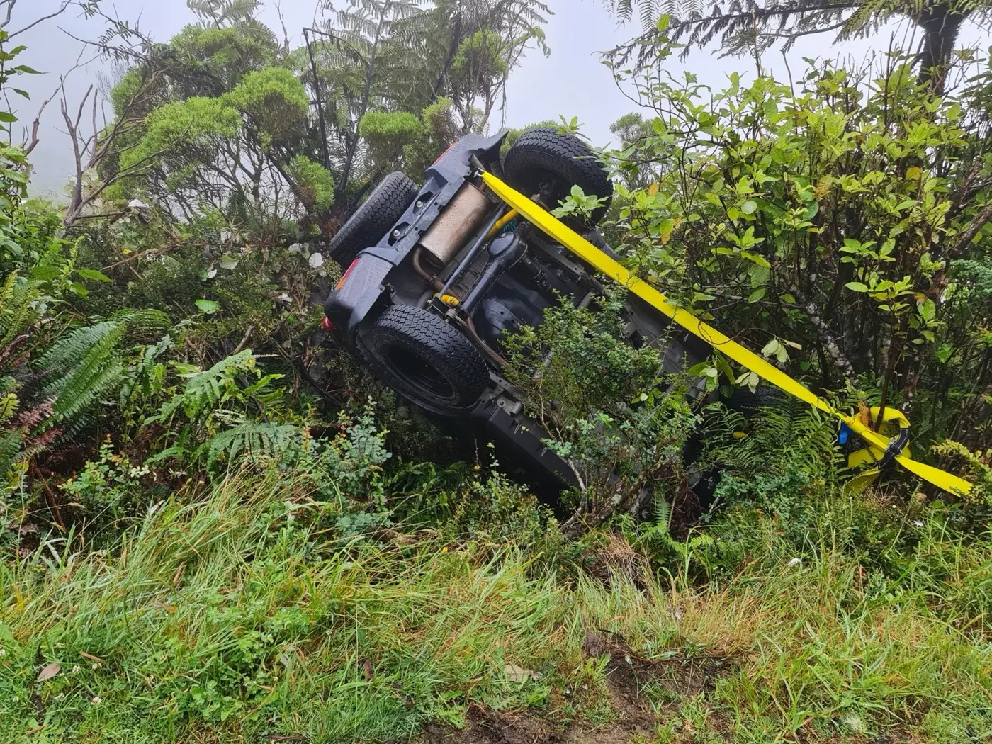 The underside of a car that has gone over a bank into bushes, with a yellow strap wrapped around a tree.